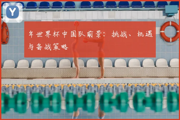 年世界杯中国队前景:挑战、机遇与备战策略
